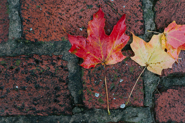 Kelley anniversary photoshoot on rainy autumn fall day with umbrella at Mary Baldwin College on the Terrace