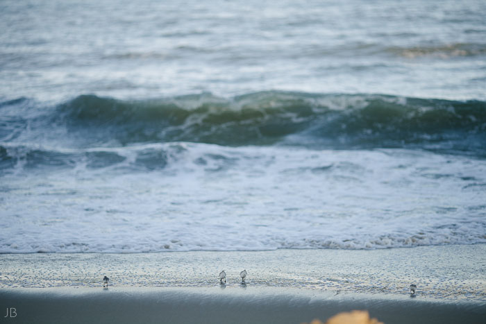 Virginia Beach Wedding on the beach in October at high noon bright day