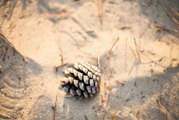 Virginia Beach Wedding on the beach in October at high noon bright day