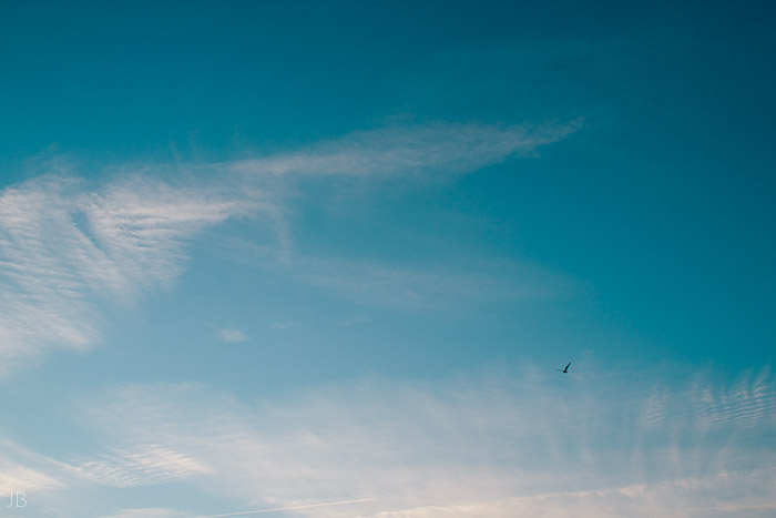 Virginia Beach Wedding on the beach in October at high noon bright day