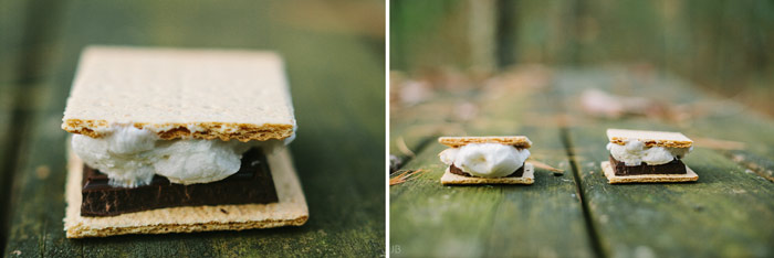 engagement session in the woods, surrounding a fire with smores and flannel in autumn