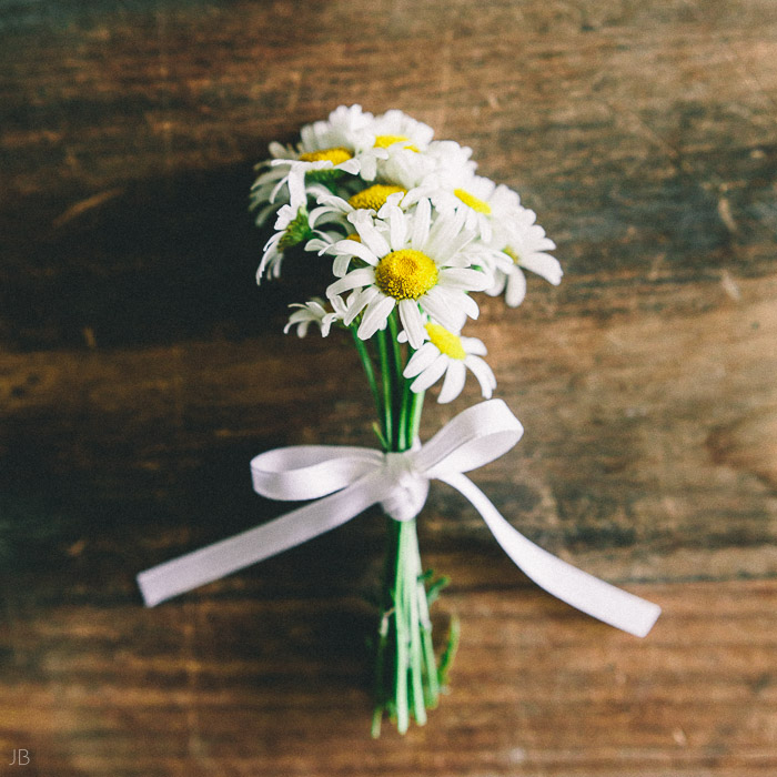 film look daisies summer flowers