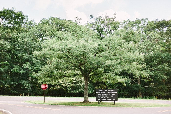 august wedding at skyland resort in shenandoah national park