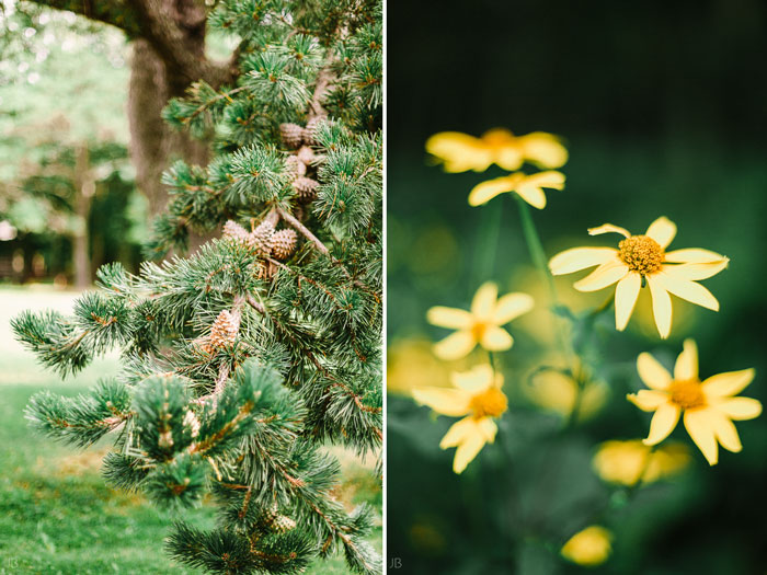 august wedding at skyland resort in shenandoah national park