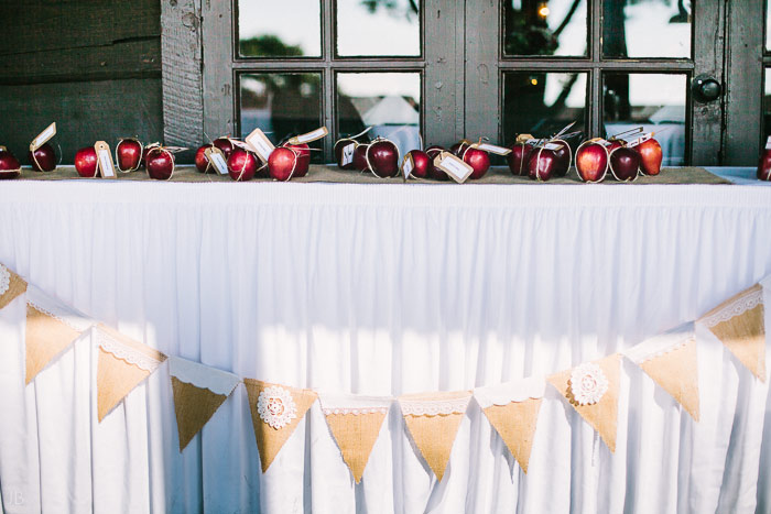 august wedding at skyland resort in shenandoah national park