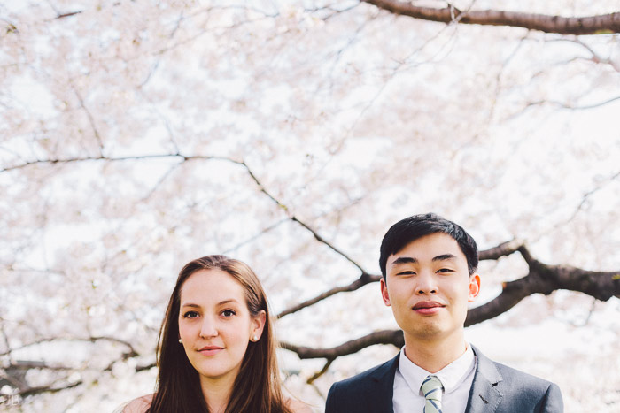 couple kissing in the cherry blossoms in Washington DC on the Tidal Basin