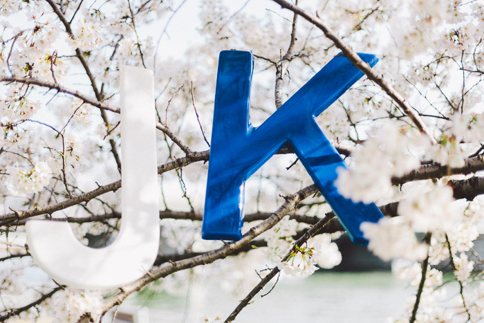 couple kissing in the cherry blossoms in Washington DC on the Tidal Basin