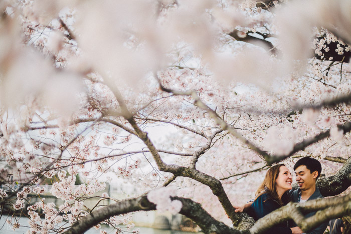 couple kissing in the cherry blossoms in Washington DC on the Tidal Basin