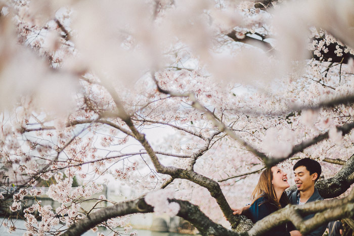 couple kissing in the cherry blossoms in Washington DC on the Tidal Basin