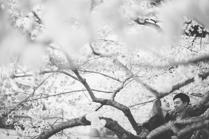 couple kissing in the cherry blossoms in Washington DC on the Tidal Basin