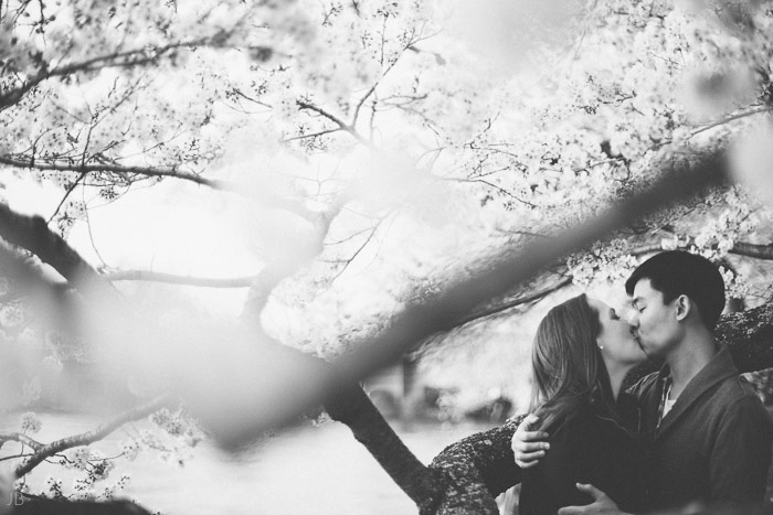 couple kissing in the cherry blossoms in Washington DC on the Tidal Basin