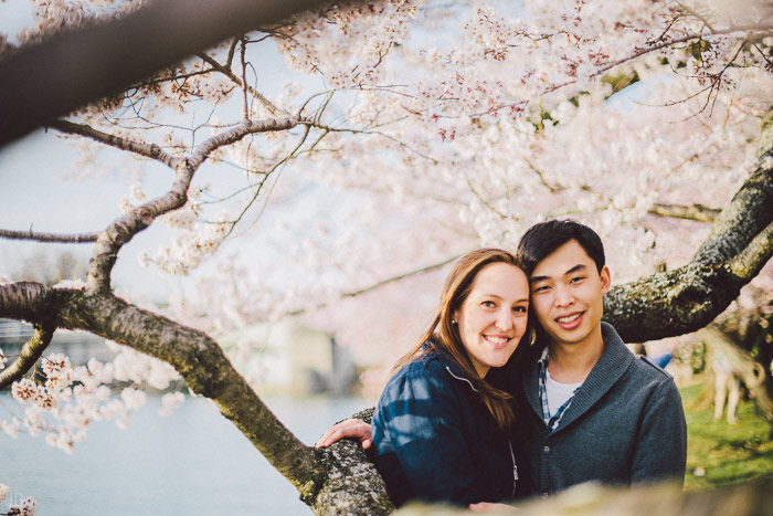 couple kissing in the cherry blossoms in Washington DC on the Tidal Basin