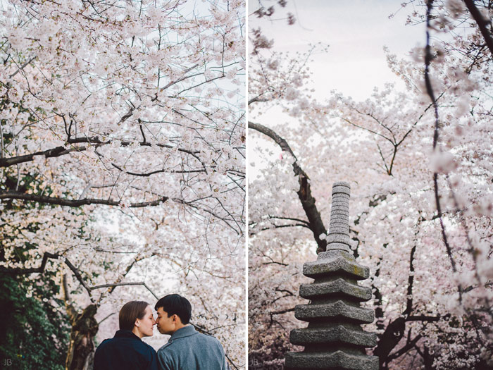 couple kissing in the cherry blossoms in Washington DC on the Tidal Basin