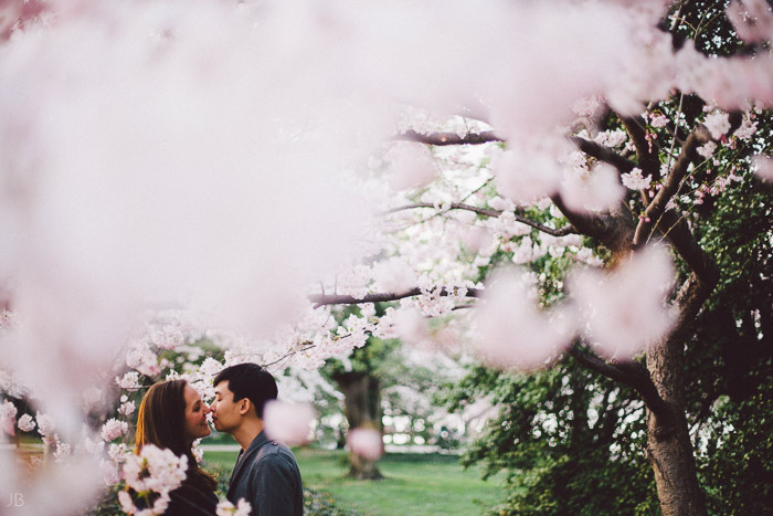 couple kissing in the cherry blossoms in Washington DC on the Tidal Basin