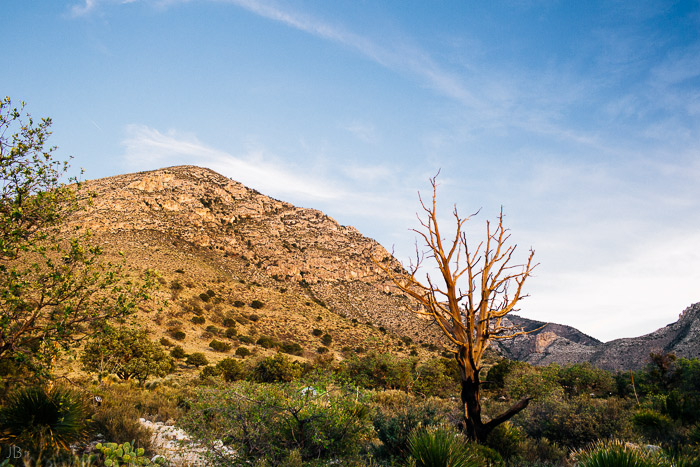 california summer road trip vsco