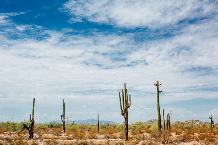 california summer road trip vsco