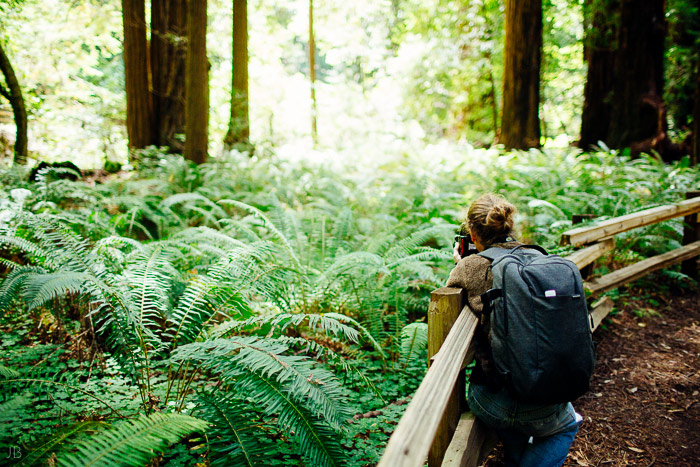 california summer road trip vsco