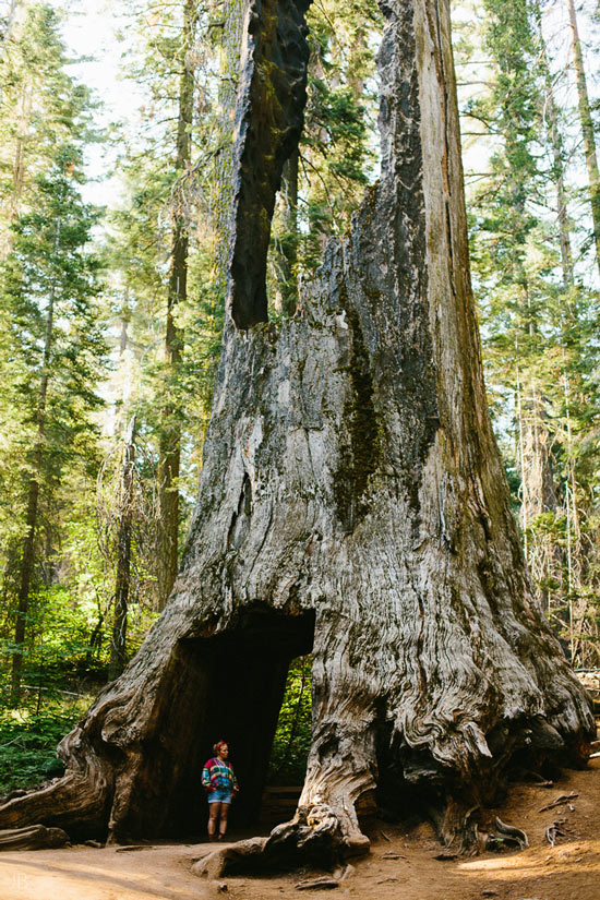 california summer road trip vsco