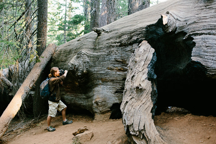 california summer road trip vsco