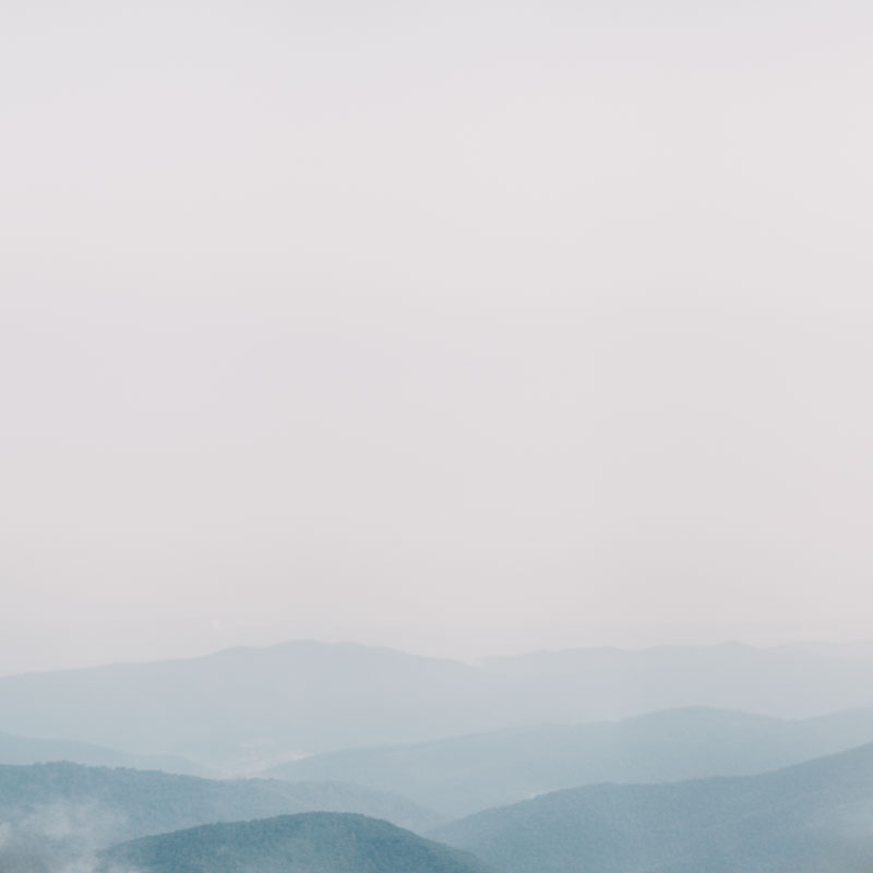 free spirit mountain bridal portraits session at sunrise with foraged wildflower bouquet