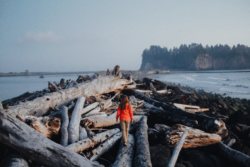 driftwood at rialto beach near la push washington