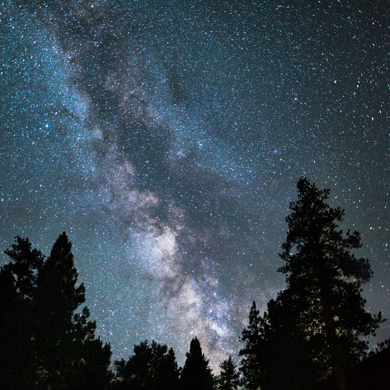 the stars viewed from big pine campground in montana
