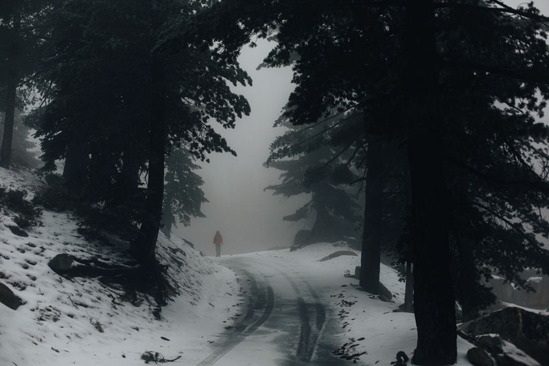foggy snowy road to keller peak in the san bernardino national forest