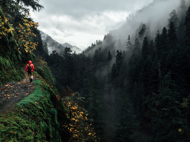 a misty hike on eagle creek trail in the columbia river gorge
