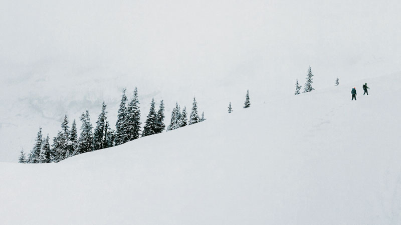 snowshoeing in whiteout conditions on mount rainier in washington state