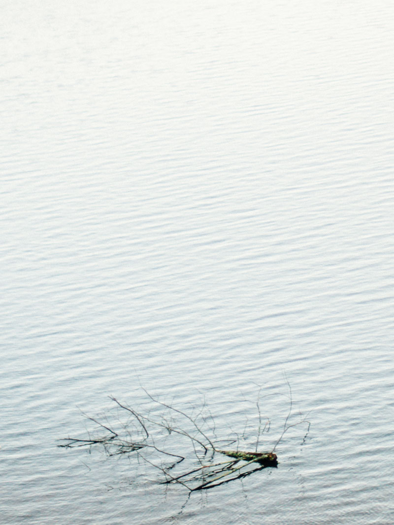 adventurous switzer lake engagement session in virginia - portra400