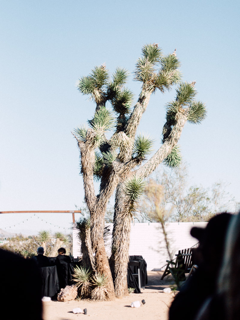 california desert wedding on halloween at the Joshua Tree Inn