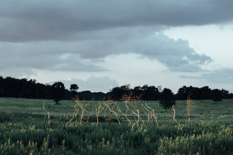 mountain engagement session in big meadows at sunset