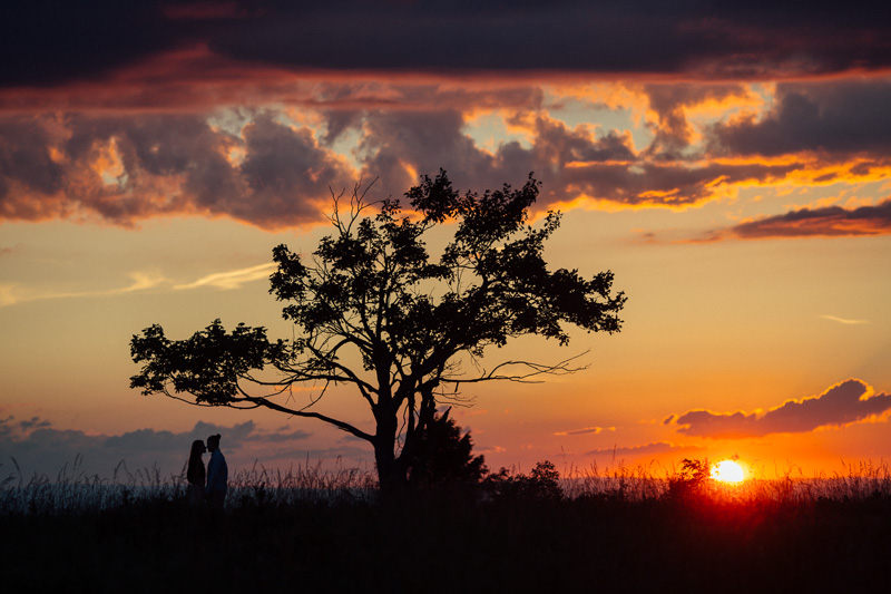 mountain engagement session in big meadows at sunset