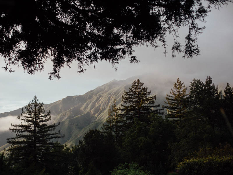 california wedding in Big Sur at the Big Sur River Inn